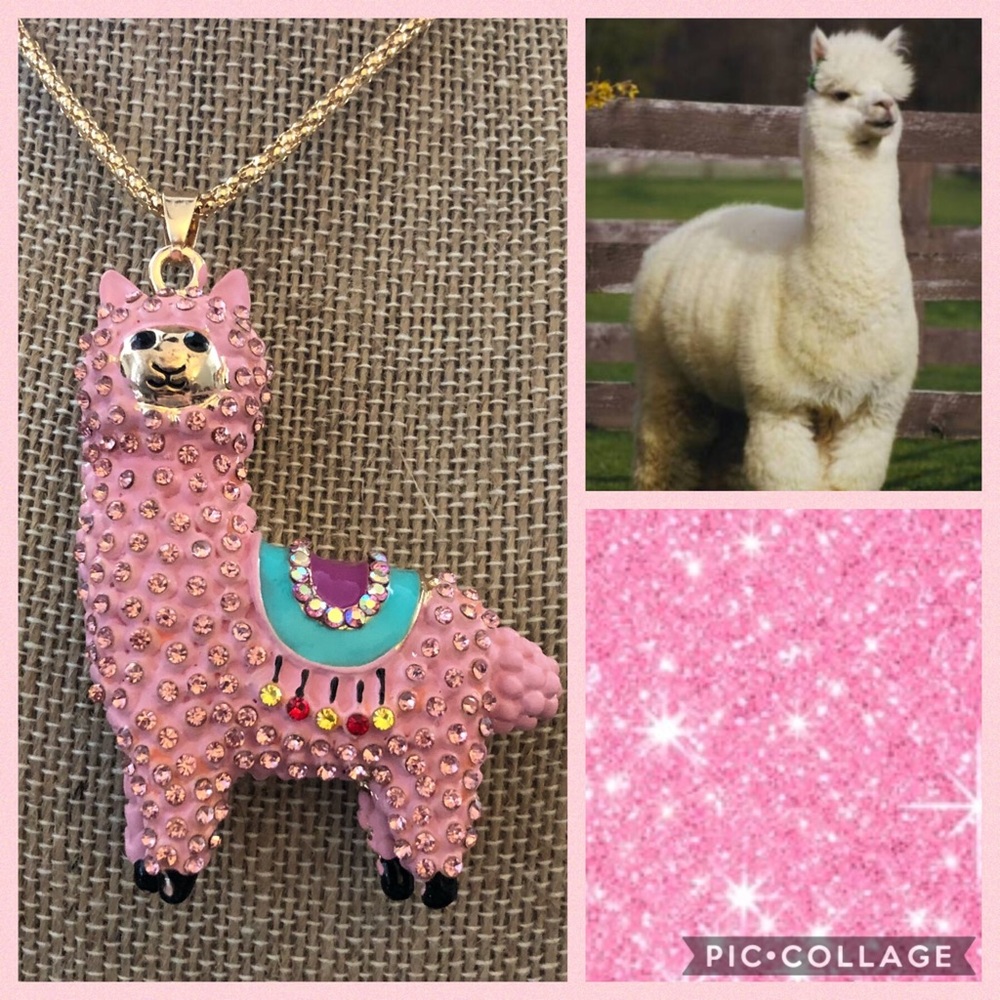 Pink Alpaca Necklace 💕